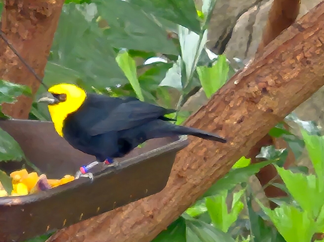 国家鸟类公园-匹兹堡必去景点