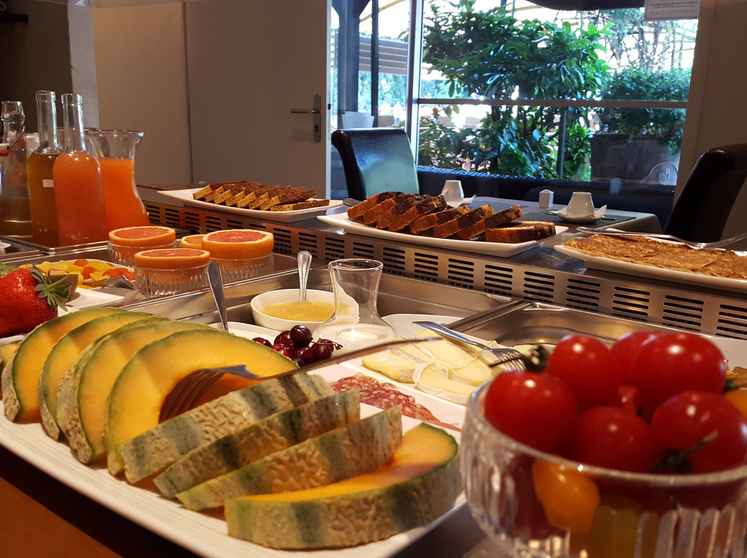 阿维尼翁新城酒店住宿-Hotel Restaurant Les Cèdres