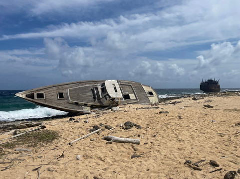 BlueFinn Charters-威廉斯塔德必去景点