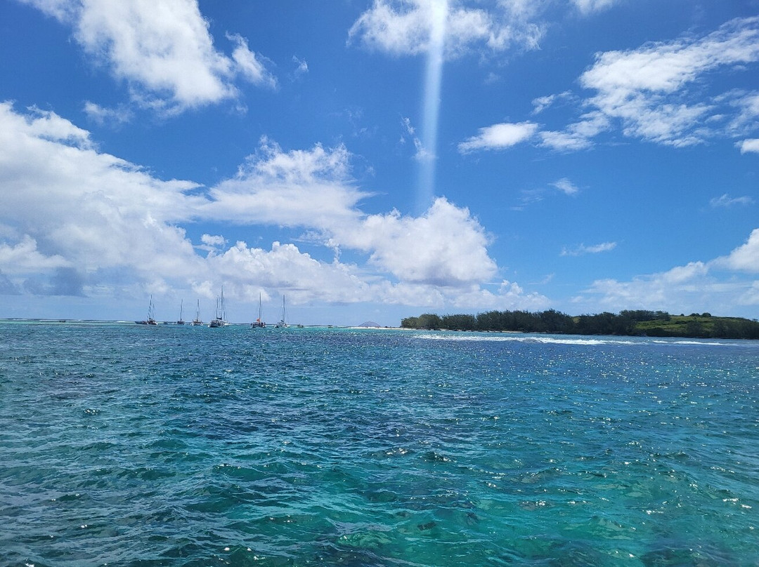 Blue Safari-卓欧毕雪必去景点