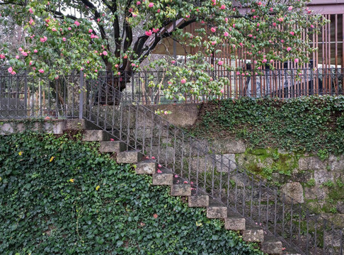 罗莱夏朵酒店-卡尔卡达之家主图