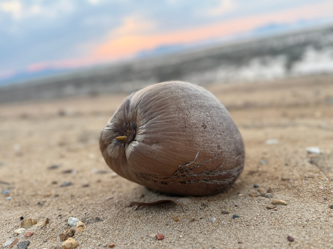 Jaiyen生态度假村主图