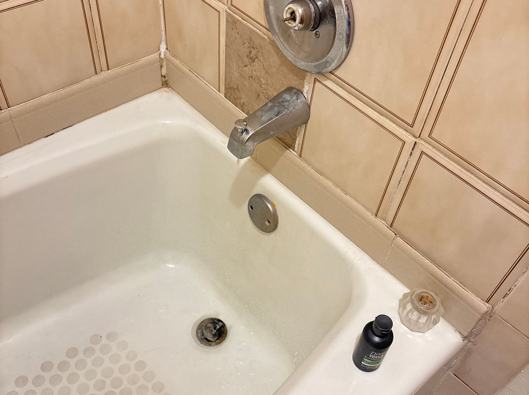 The Island Garden Hotel