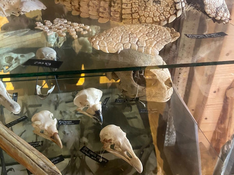 Refugio Animal Cascada-圣若泽迈坡必去景点