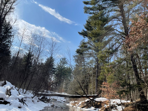 Pine River Paddlesports Center-Wellston必去景点