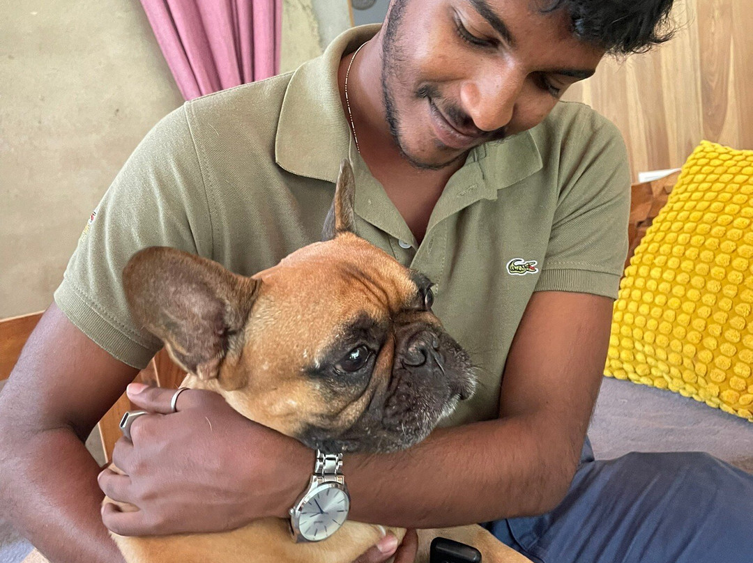 Island Escapades Tours-Pannila East必去景点