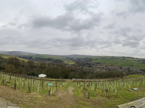 Holmfirth Vineyard-Holmfirth必去景点