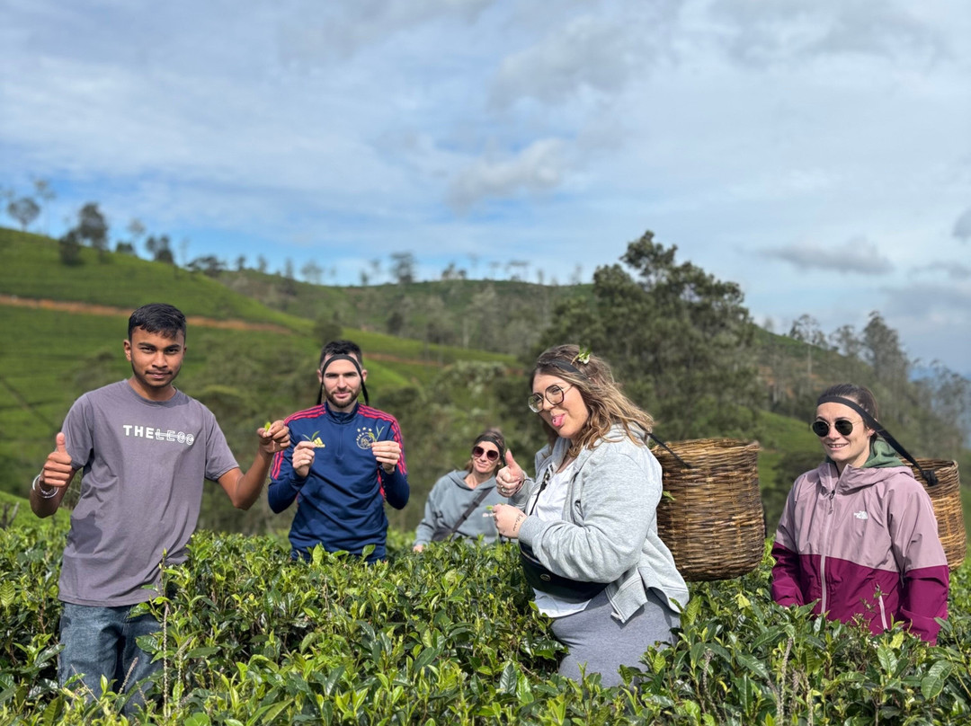 Harish Hari Tours-奴娃拉伊利雅必去景点