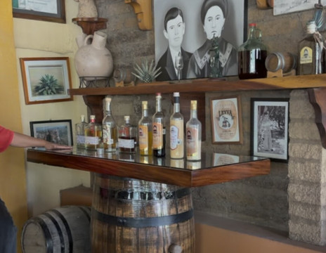 Vallarta Transportation Services-瓦拉塔港必去景点