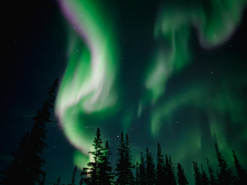 Discover Churchill Tours-丘吉尔必去景点