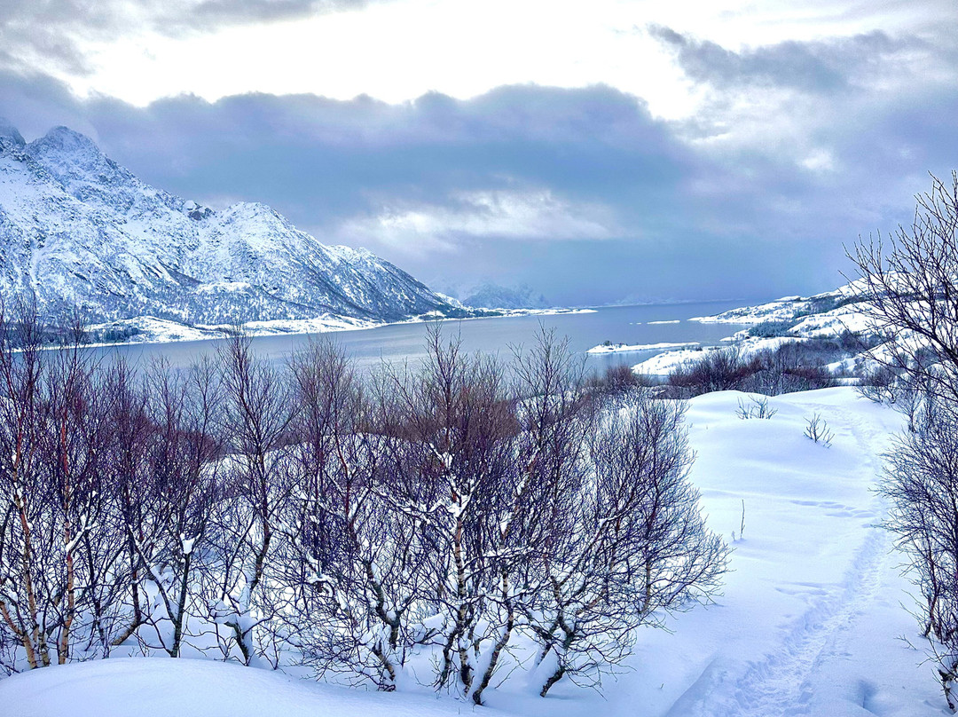 Austnesfjorden-斯沃尔韦尔必去景点
