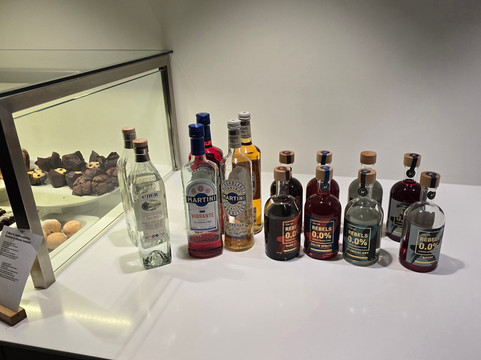 SWISS Business Class Lounge-克洛滕必去景点