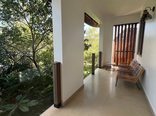 African Gorilla Expeditions-坎帕拉必去景点