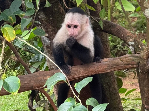 Rudy's Tours-巴拿马城必去景点