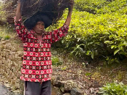 USP Lanka Tours-科伦坡必去景点