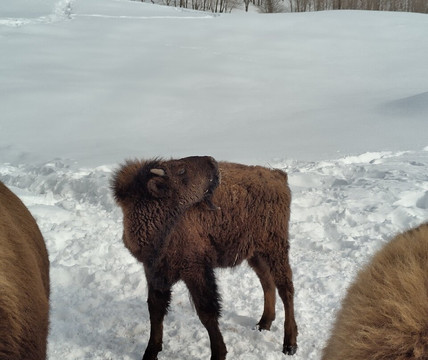 Kanatha-Aki Nature Activity Center-Val-des-Lacs必去景点
