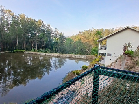 Chola Lakeview Stay Inn主图