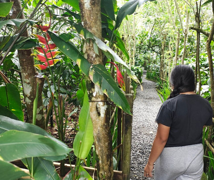 Cantik Agriculture-吉安雅必去景点