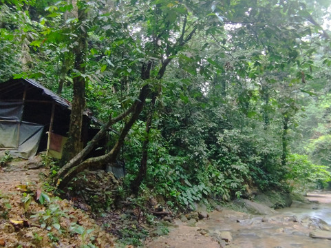 Sumatra Tour & Travel Bukit Lawang-武吉拉旺必去景点