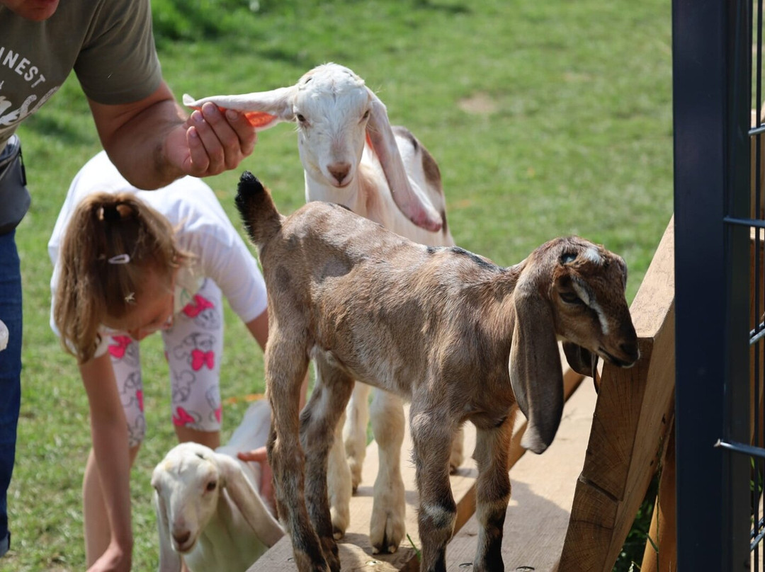 Podlaska Toskania-Suwalki必去景点