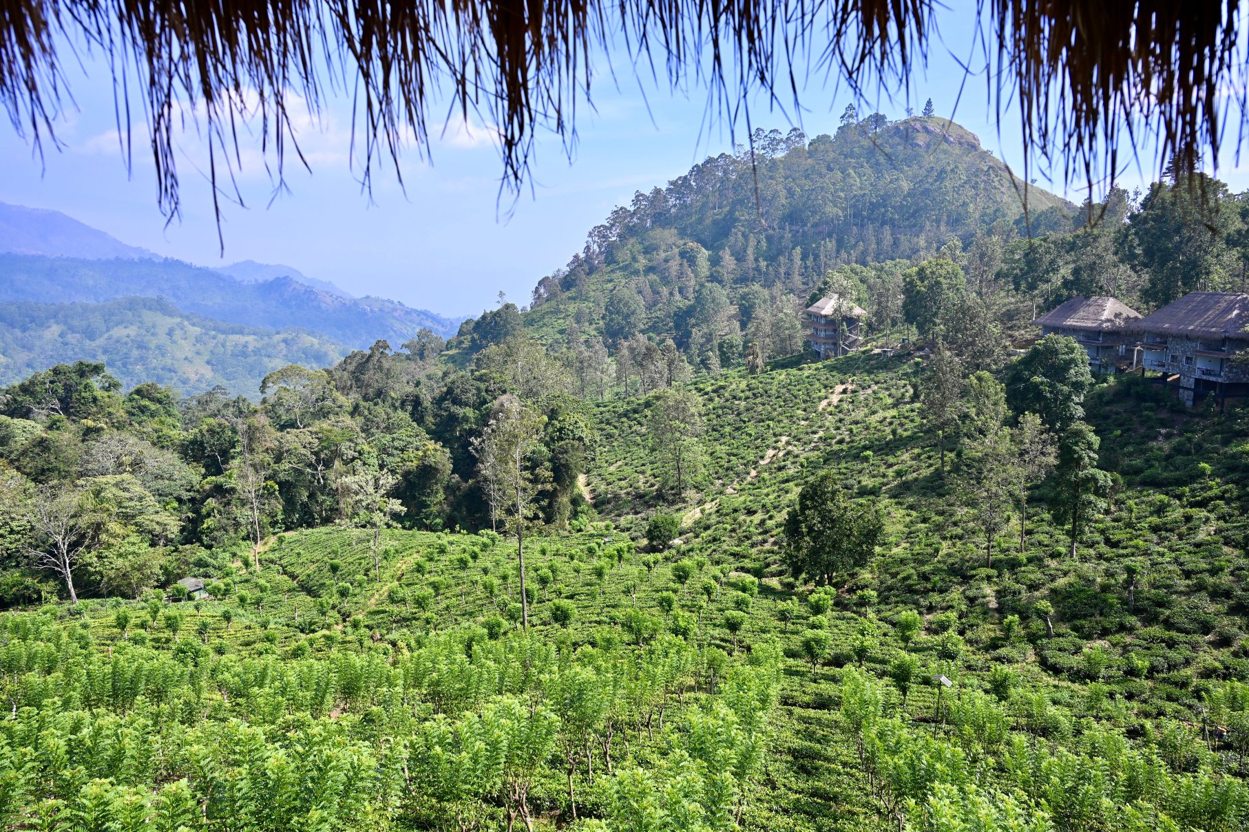 98英亩度假村-酒店景观