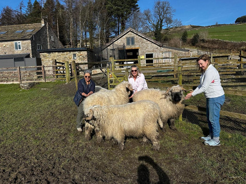 Naze View Farm Alpaca Experience-Whaley Bridge必去景点