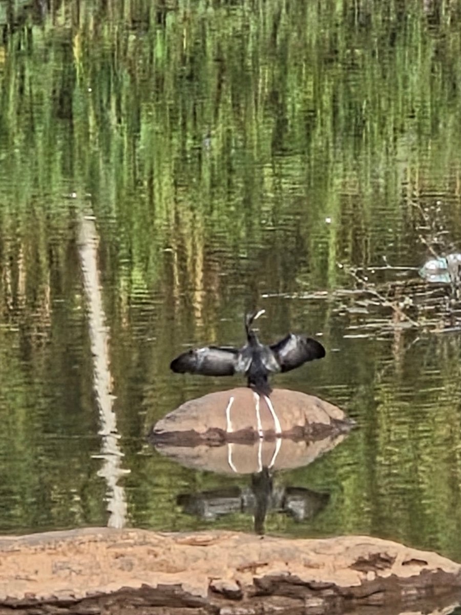 River Rock Homestay-官方