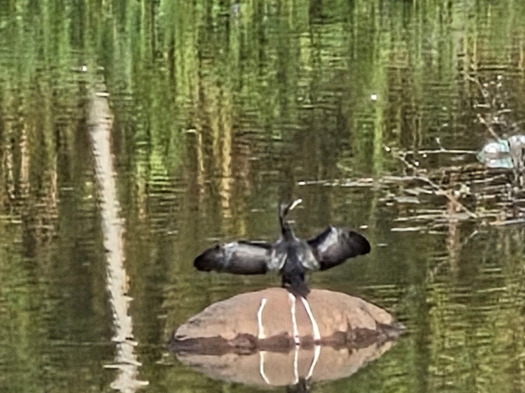 River Rock Homestay主图