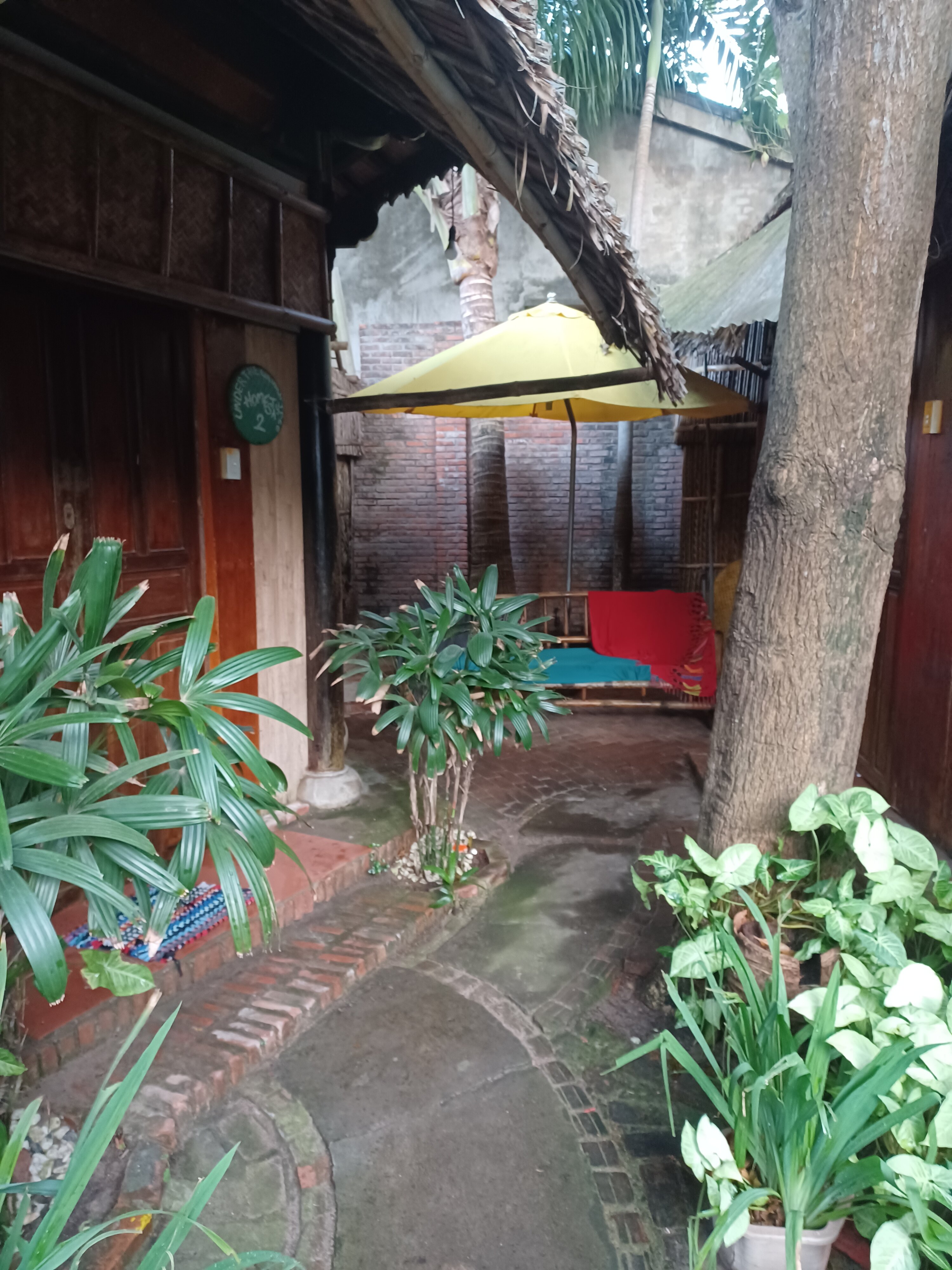 会安椰子树下民宿-官方