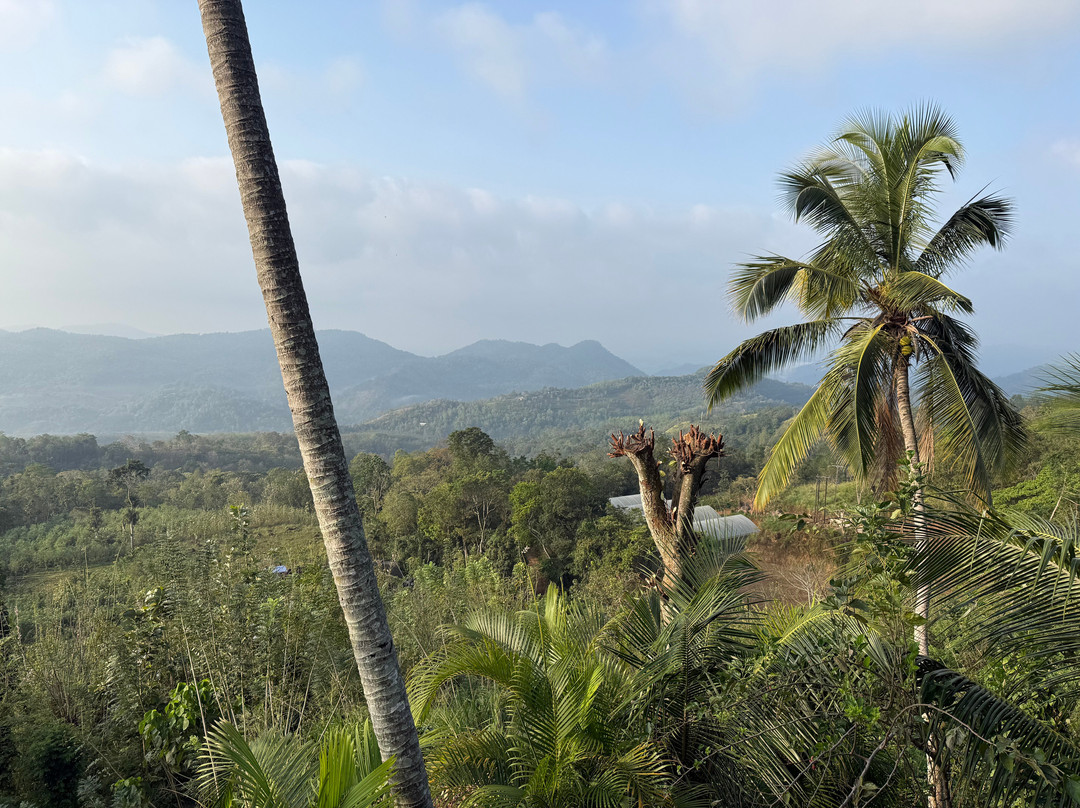 Miles In Paradise-哈巴拉杜瓦必去景点