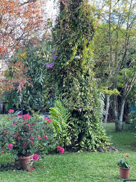 哥斯达黎加机场住宿加早餐旅馆-官方