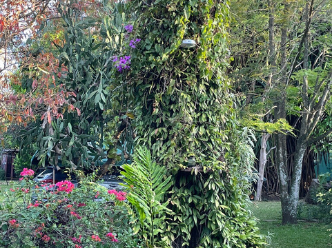 哥斯达黎加机场住宿加早餐旅馆主图