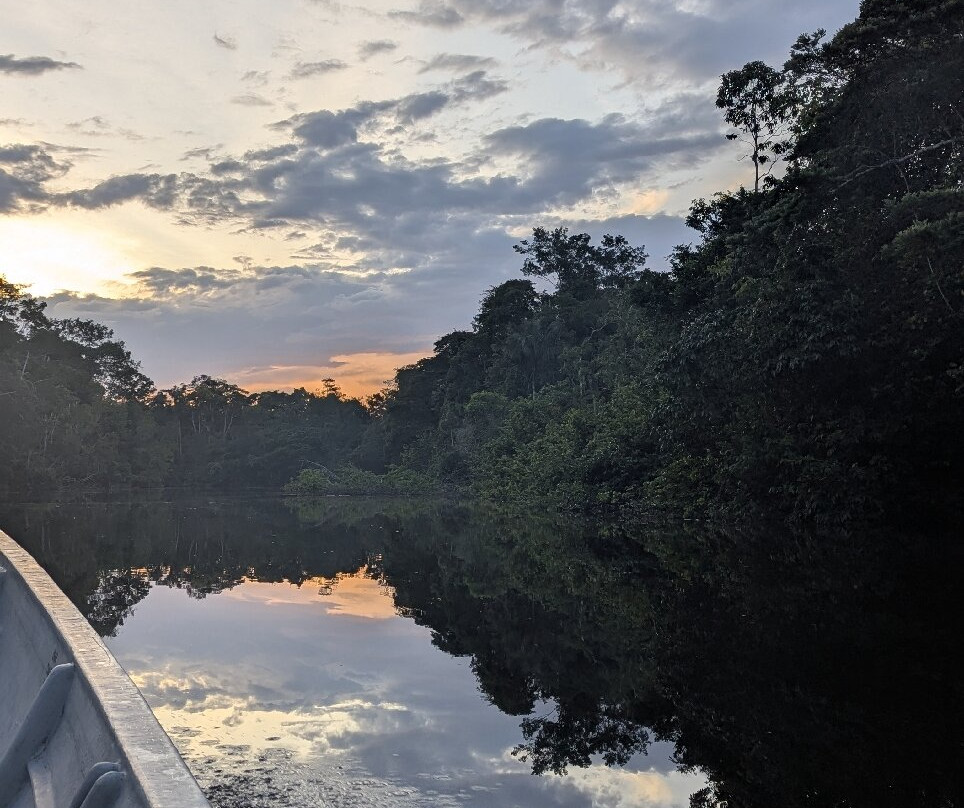 Parque Nacional del Yasuni - Fernando guia en la Amazonia-Coca必去景点