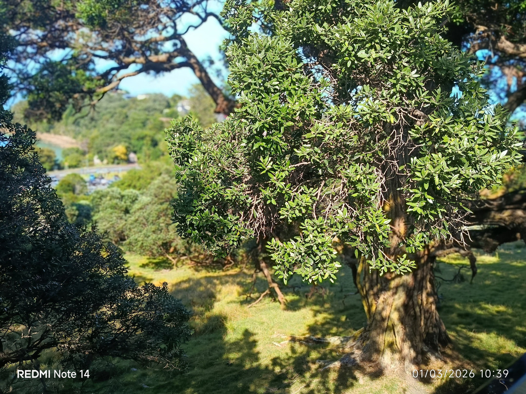 Kennedy Point Vineyard-Surfdale必去景点