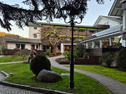 Waldhotel Grüner Baum主图