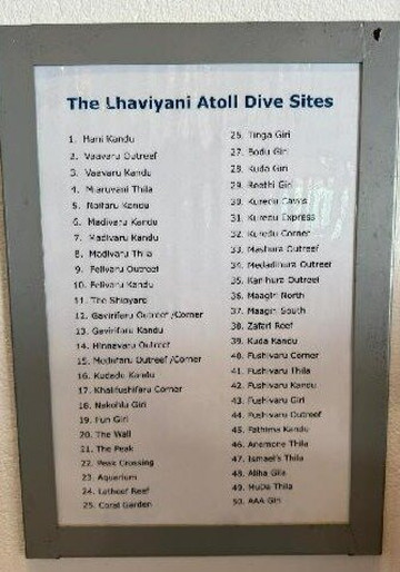 Prodivers Maldives-古丽都岛必去景点