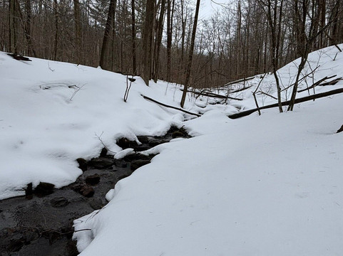 Mass Audubon Pleasant Valley Wildlife Sanctuary-莱诺克斯必去景点