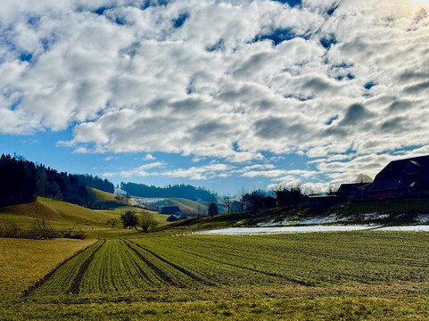 Schlaraffenland B&B主图