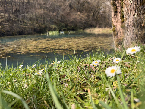 River Krupa Spring-Semic必去景点