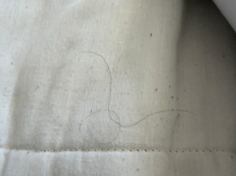 Termas de Cauquenes主图