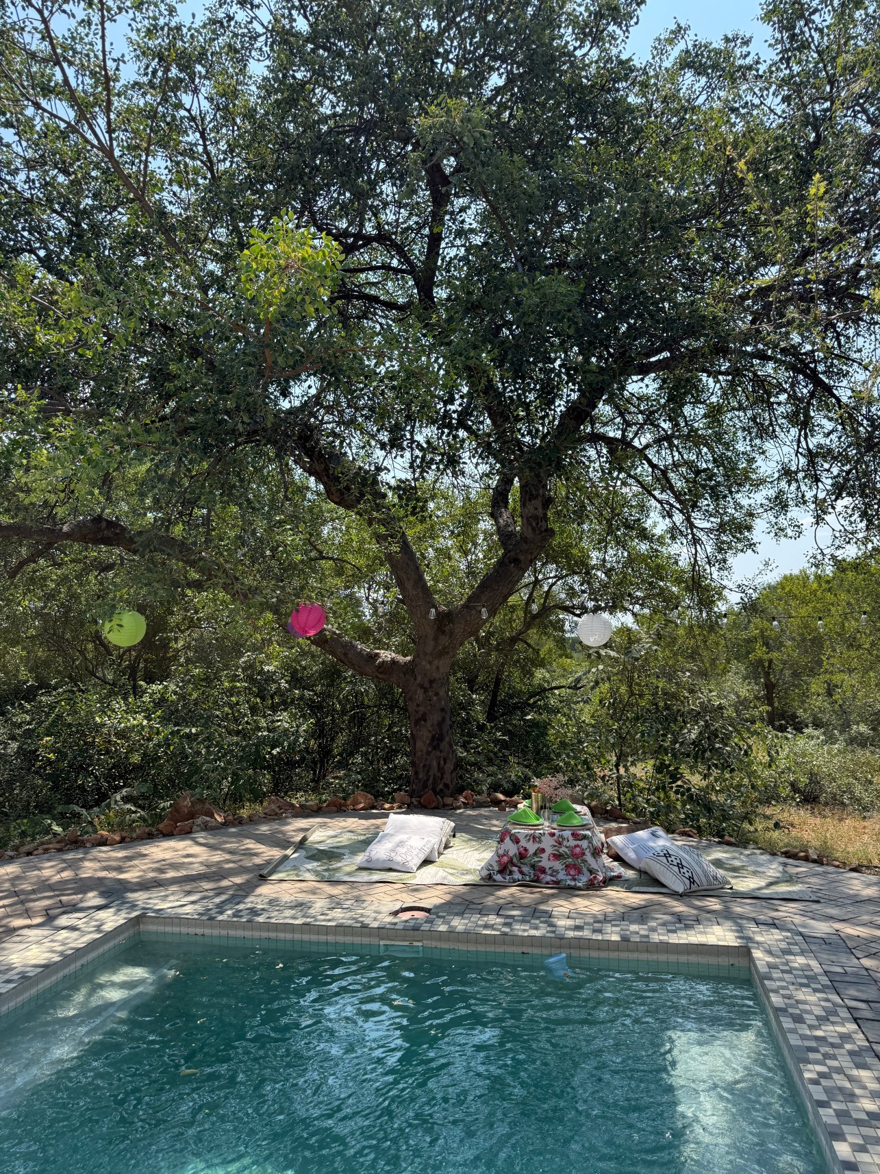 由7 Star Lodges经营的Oase - 大克鲁格私人530ha保护区-客卧