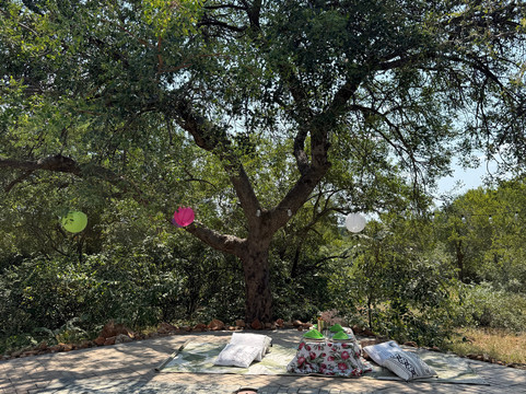 由7 Star Lodges经营的Oase - 大克鲁格私人530ha保护区主图