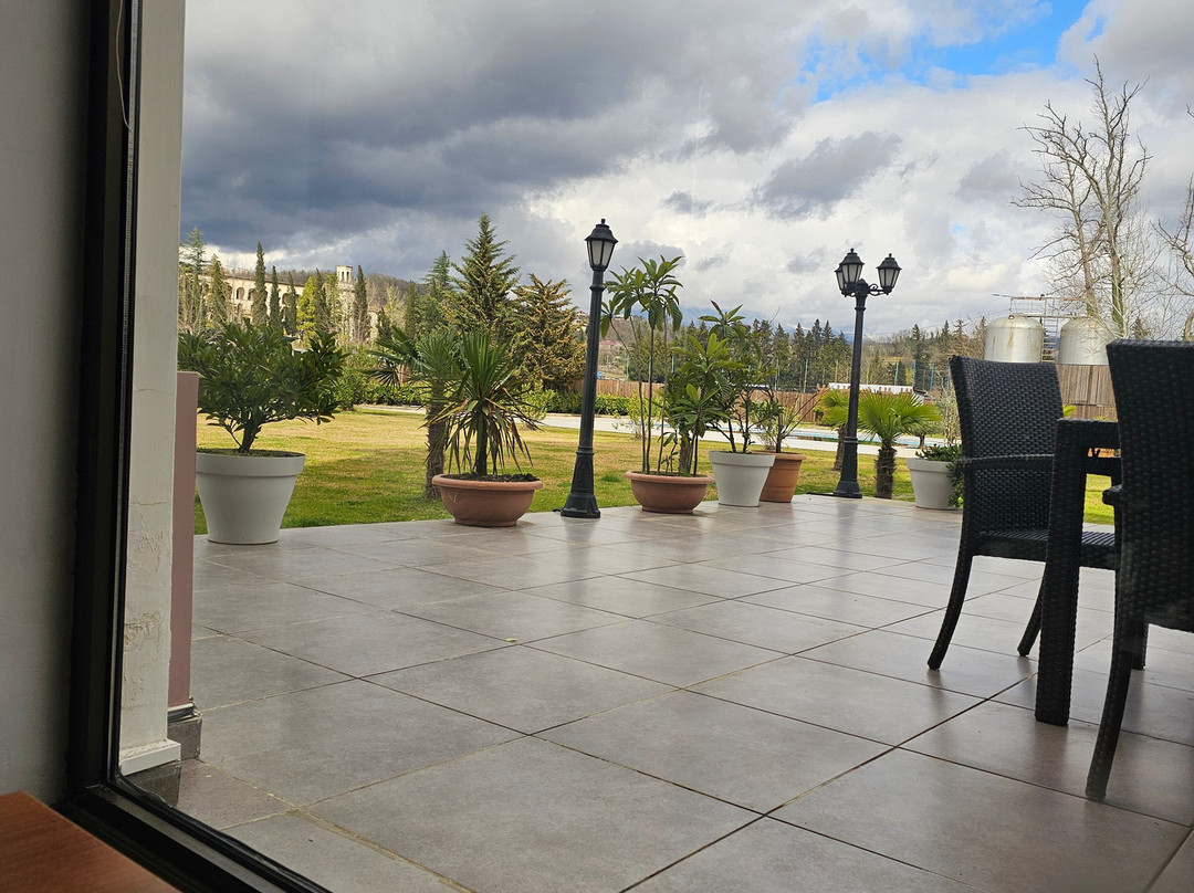 茨卡尔图博广场酒店主图