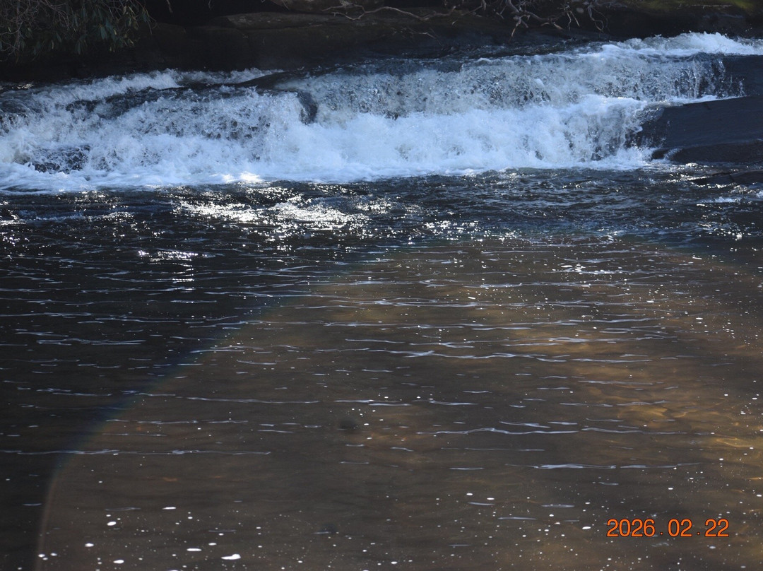 Triple Falls Trail-亨德森维尔必去景点