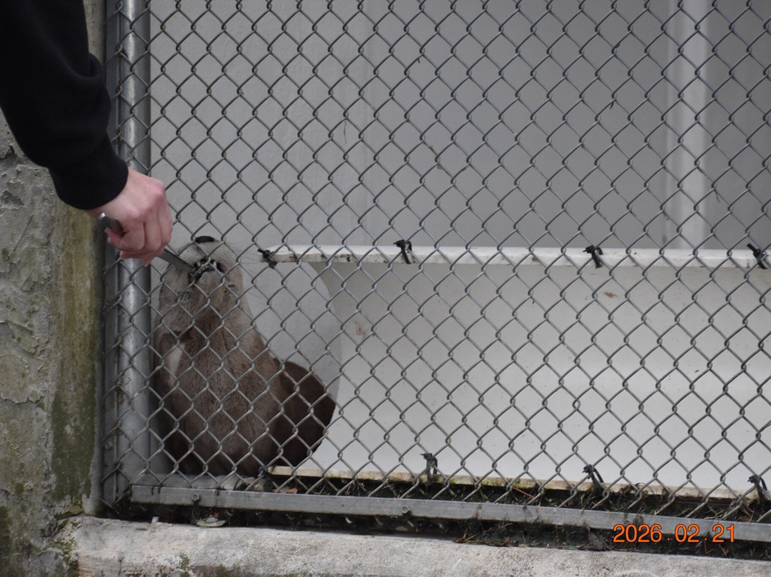 Grandfather Mountain State Park-Banner Elk必去景点