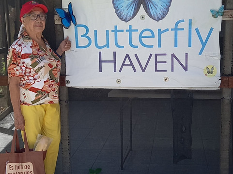 Butterfly Haven-安东谷必去景点