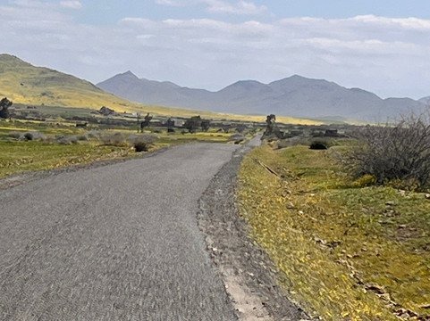 Mountain Desert Tours-马拉喀什必去景点