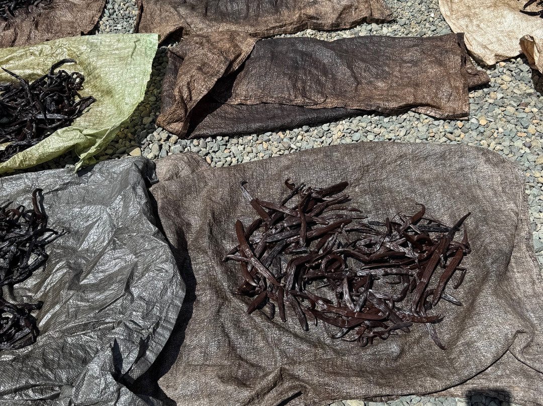 Villa Vanilla Spice Tour & Shop-哥斯达黎加安东尼奥国家公园必去景点