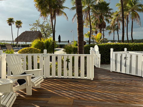 椰树棕榈树旅馆主图