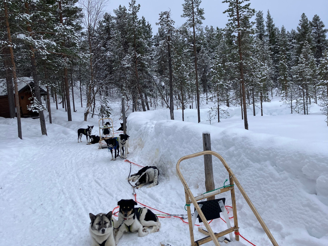 Hetta Huskies-Enontekiö必去景点